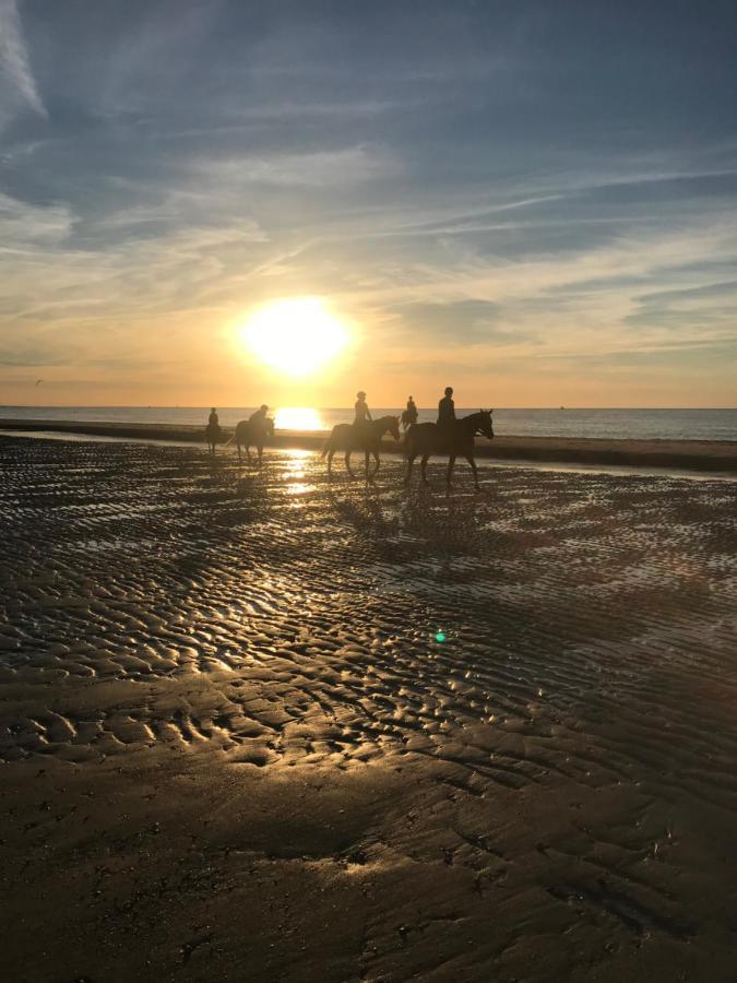 Etoile Aan Zee Otel Vrouwenpolder Dış mekan fotoğraf
